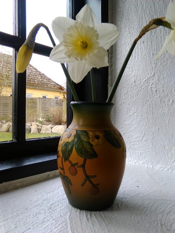 Dastrup Bed & Breakfast Viby Kültér fotó