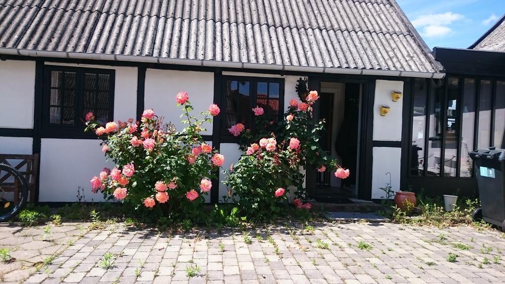 Dastrup Bed & Breakfast Viby Kültér fotó